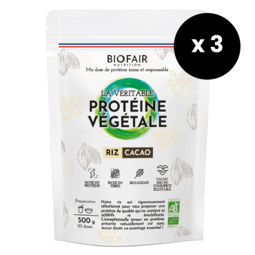 Pack protéine végétale Riz Cacao